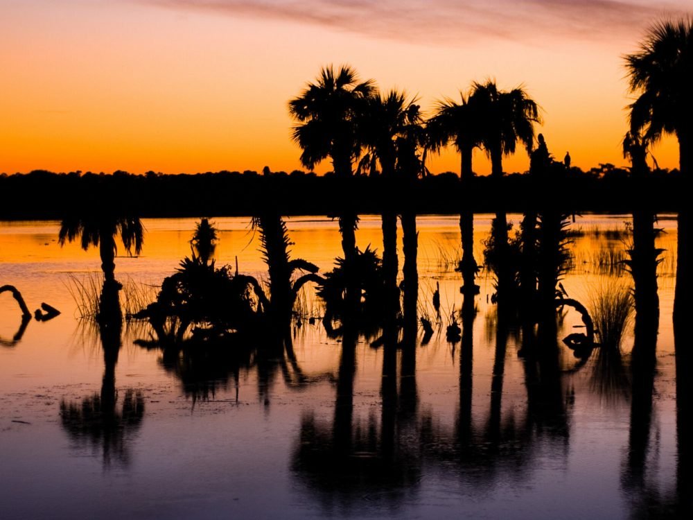 dreamstime_l_8728790_SunsetOverWetlands-scaled-e1660852590207